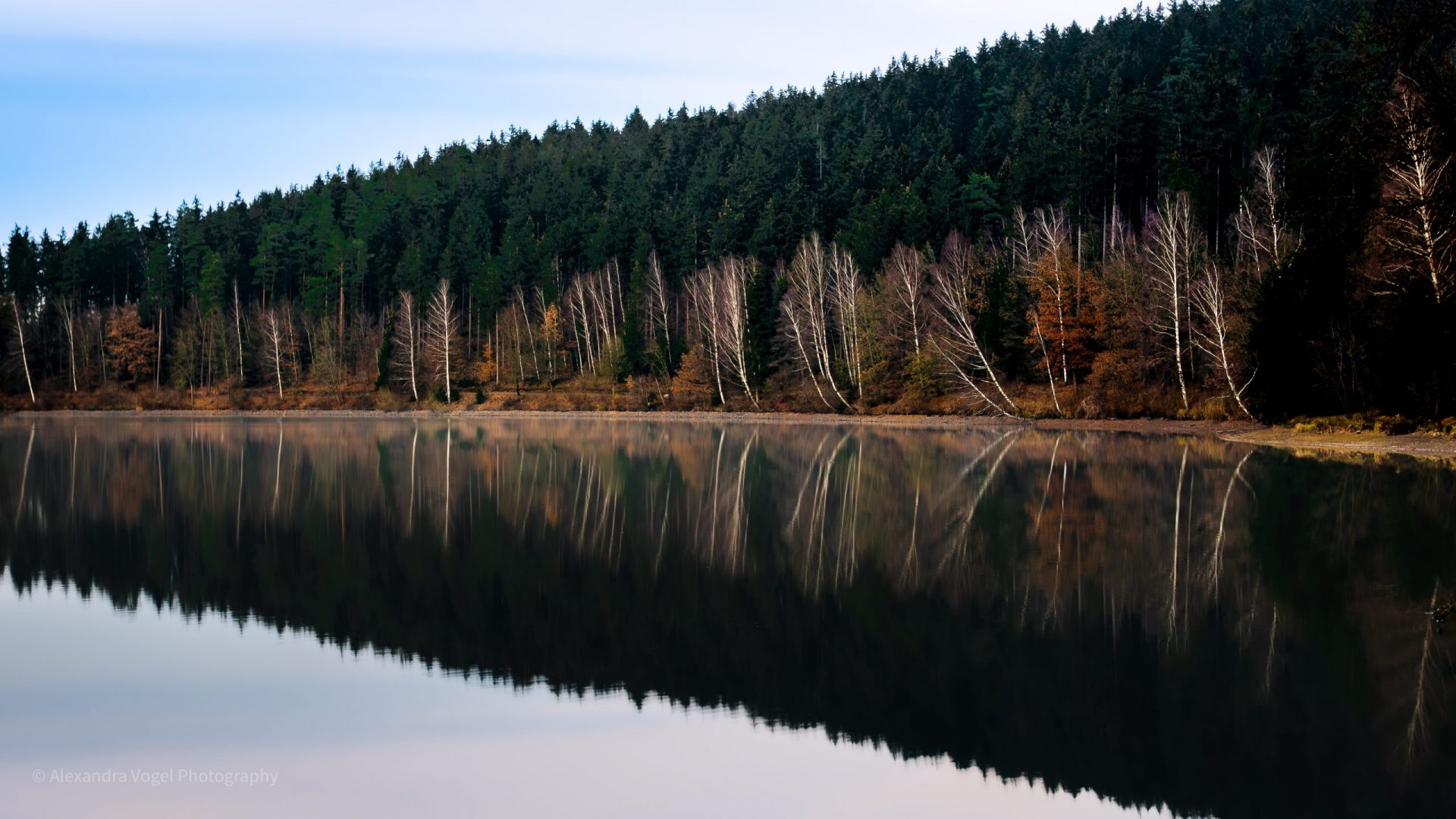 Beeindruckende Wasserspiegelung von Bäumen am Untreusee in Hof an der Saale