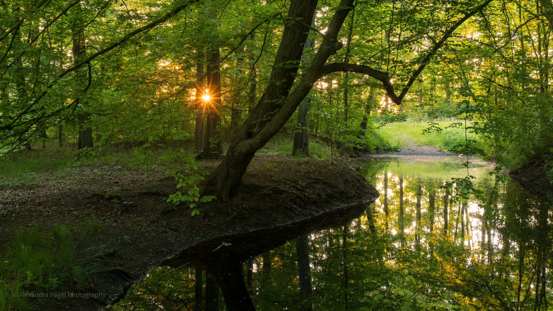 Der Luitpoldhain im Theresienstein in Hof an der Saale
