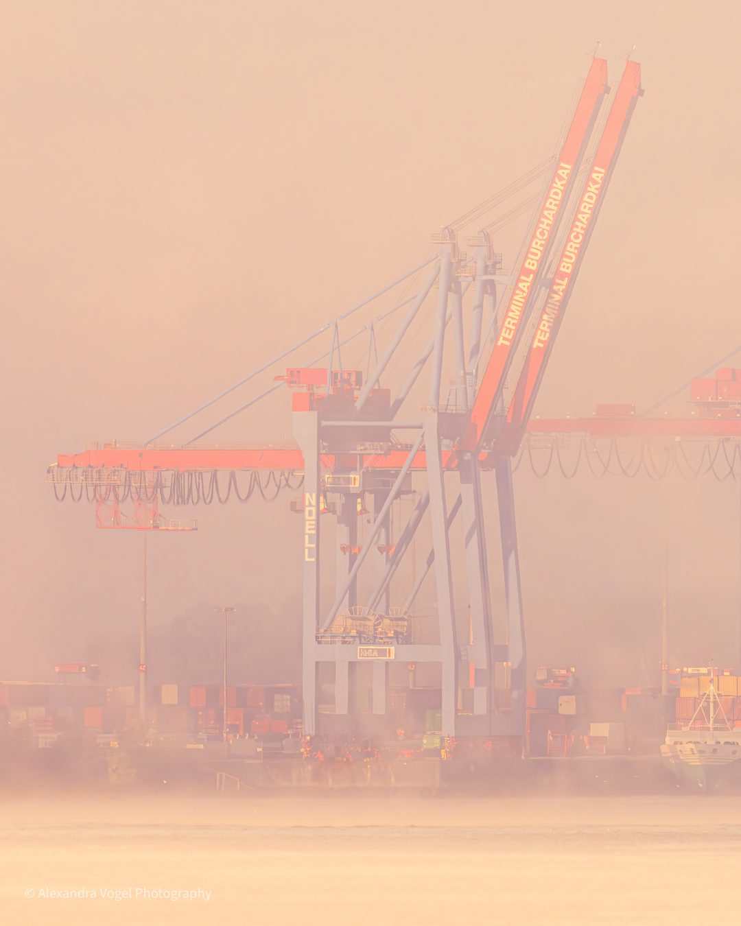 Hafengiraffen im Morgennebel im Hamburger Hafen