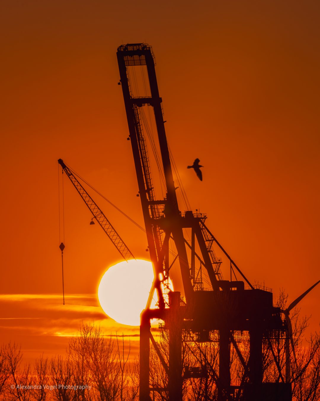 Hafenkräne in der Abendsonne im Hamburger Hafen
