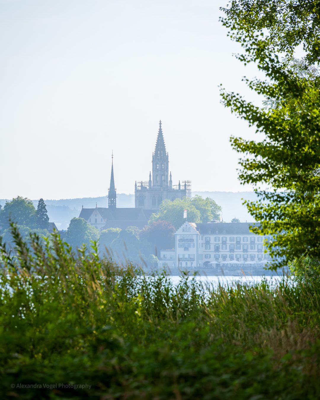 Der Konstanzer Münster von der anderen Uferseite