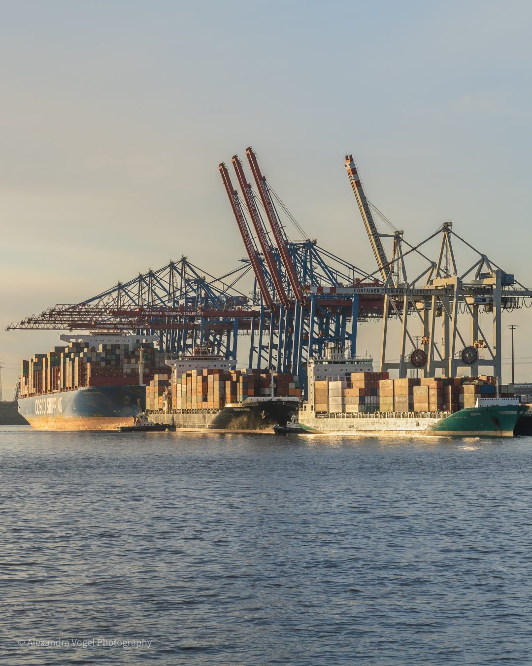 Container Terminal Tollerort mit drei Frachtschiffen